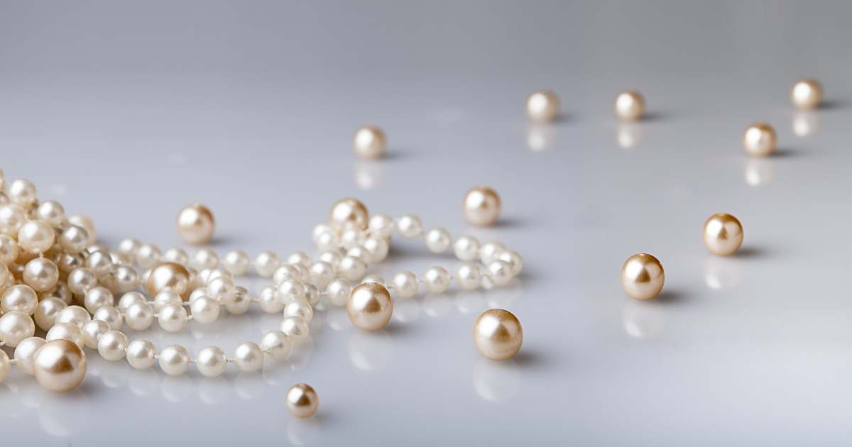iseshima-mikimoto-goodprice2